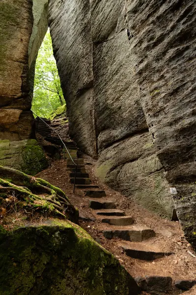 Çek Cumhuriyeti, Bohemya Cenneti, Prachov Kayalıkları 'ndaki orman ve kumtaşı kayalıklarında yürüyüş yolu.