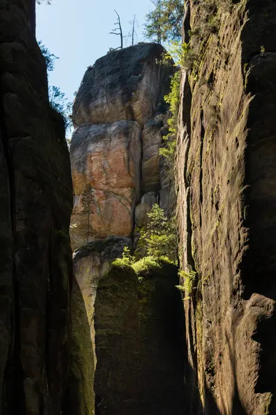 Çek Cumhuriyeti 'ndeki Adrspach kayalarında muazzam kaya oluşumları