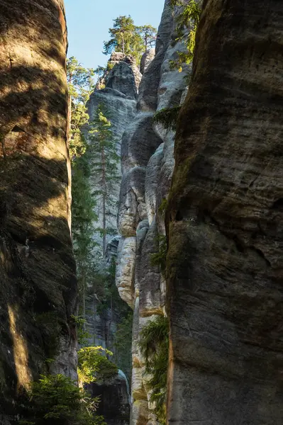Çek Cumhuriyeti 'ndeki Adrspach kayalarında muazzam kaya oluşumları