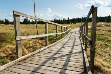 Çek Cumhuriyeti 'nin Bozi Dar kentindeki Bozi Dar turba bataklık yolunda uzanan tahta patika..