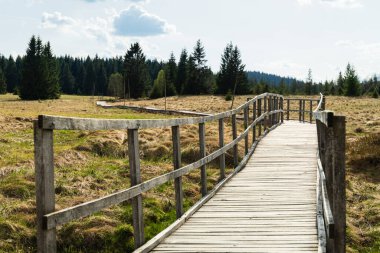 Çek Cumhuriyeti 'nin Bozi Dar kentindeki Bozi Dar turba bataklık yolunda uzanan tahta patika..
