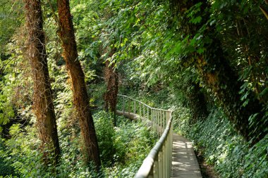 Prag Kalesi 'nin Geyik Hendeği' nde (diğer adıyla Geyik Hendeği veya Çekçe Jeleni prikop) yürüyüş yolu.