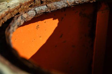 Eski paslı demir bir yapıya yakın plan..