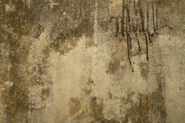 Kalıplı ve nemli lekeli beton duvarlar pasaklı bir yüzey oluşturuyor, kapalı alanda doğal ışıkta fotoğraf çekiliyor..