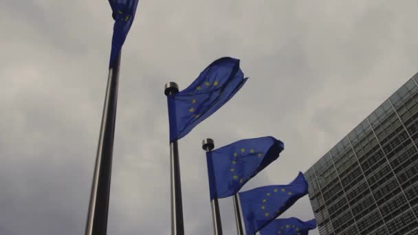 ベルギーのベルレイモントビルの前にヨーロッパの旗 — ストック動画