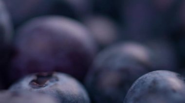 Saha derinliği sığ olan bir grup taze yabanmersini..