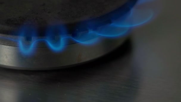 Close Kitchen Gas Stove Burner Blue Flame Background — Stock Video