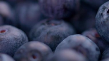 Saha derinliği sığ olan bir grup taze yabanmersini..