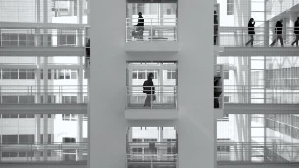 Ратуша Современной Белой Архитектуры Группой Людей Идущих Возвышенной Дорожке Гааге — стоковое видео