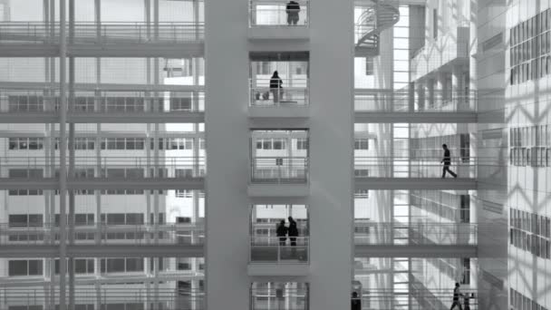 Rathaus Moderne Weiße Architektur Mit Einer Gruppe Von Menschen Die — Stockvideo
