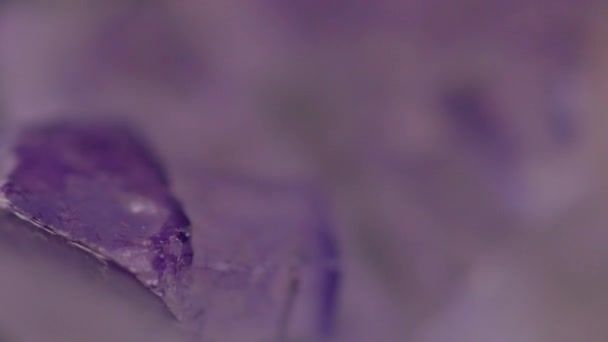Primer Plano Textura Piedra Fluorita Púrpura Natural Girando Fondo Abstracto — Vídeos de Stock
