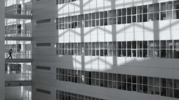 Rathaus Moderne Weiße Architektur Mit Menschen Die Auf Einem Erhöhten — Stockvideo