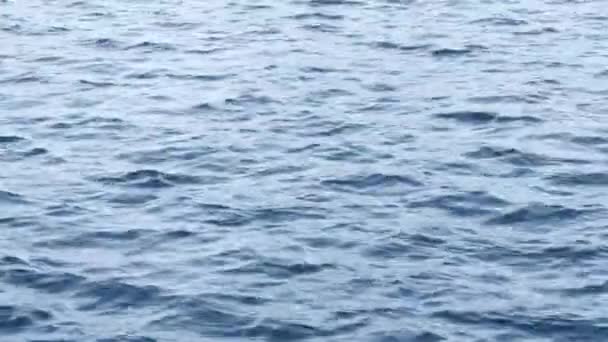 Blauw Wateroppervlak Met Kleine Golven Achtergrond — Stockvideo