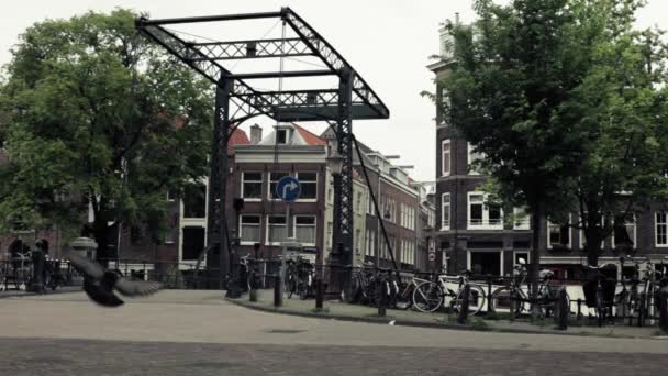 荷兰阿姆斯特丹Brouwersgracht小型钢拉桥 — 图库视频影像