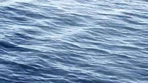 Blått Vattenytan Med Små Vågor Bakgrund — Stockvideo
