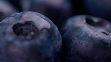 Seçici odaklı sığ alan derinliğine sahip değişken taze yaban mersini grubu.