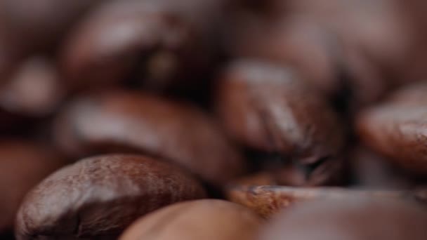 选择性聚焦浅深场旋转咖啡豆的近距离研究 — 图库视频影像