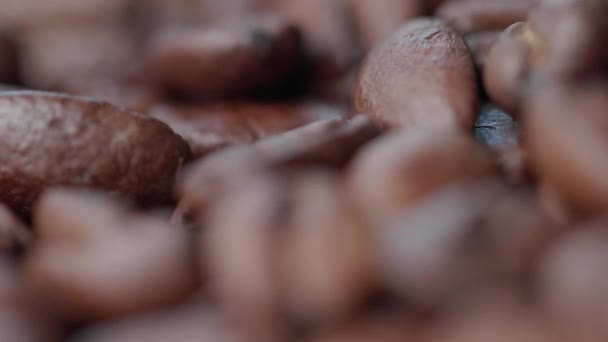 Close Rotating Coffee Beans Selective Focus Shallow Depth Field — Stock Video