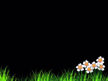 Bahar çiçeklerinin şeffaf arkaplanı