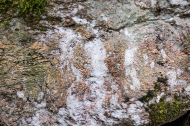  Ormandaki taşın yapısal arka planı. Taşın farklı renkleri var, sanki su dibe dökülüyormuş gibi..