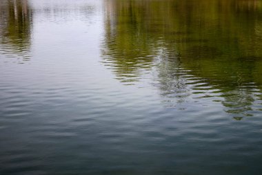 Suyun yüzeyi sırlarını saklar. Su yüzeyine, yakınlardaki her şeyi yansıtır. Yapı değişmez, sadece renk iletilir..