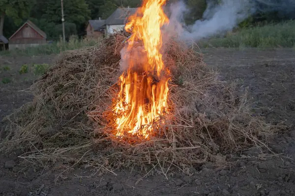 stock image burning wood on a straw. fire. burning firewood on the background of dry grass. fire. burning dry grass in the forest.A large pile of dry weeds burns with a bright red flame in a rural household.