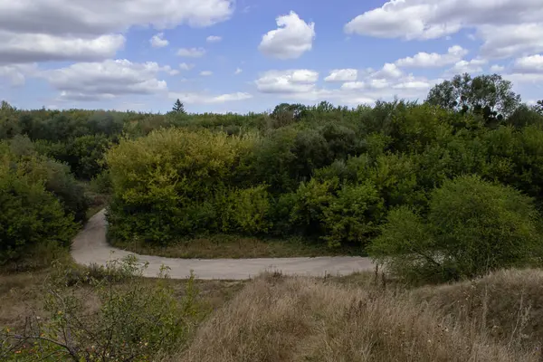 Arka planda ağaçlar ve ormanlar olan bir yol. Resimli bir köşe. Gökyüzü ve ağaçlar. Ormanın üzerinde uçsuz bucaksız mavi bir gökyüzü uzanıyor..