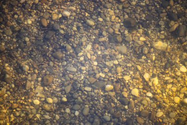 water texture. abstract background. A bottom of stones under the water surface. Small colored pebbles lie under the water. clipart