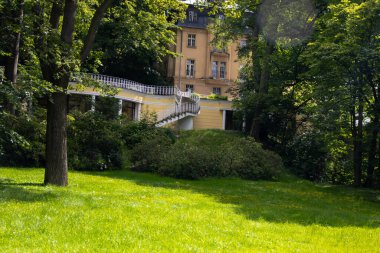 Yeşil bir ormanlık arazide eski bir ev. Zengin yeşil renkler. Resimler, doğal arka planlar, çeşitli resim fikirleri için..