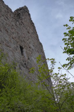 Avrupa 'daki bir savunma kalesinin eski duvarı. Mavi gökyüzü ve yeşil ağaçların arka planında gri taşlardan yapılmış büyük eski bir duvar..