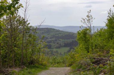 Turistler için dağlarda yürüyüş parkuru. Ağaçların ve dağların arka planına karşı tehlikeli dağ yolu.