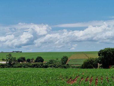 Nossa Sinyora Aparecida Kilisesi, Baptist Kilisesi, Brezilya Bağımsız Presbiteryen Kilisesi, Primeiro de Maio Paran, Brezilya
