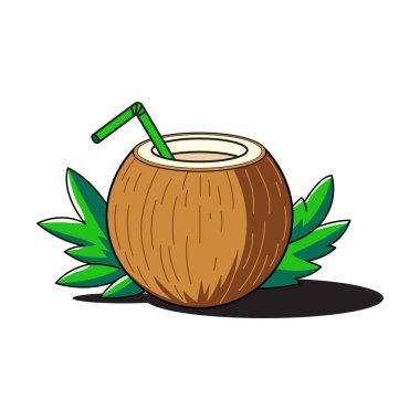 Taze hindistan cevizi palmiye vektör sanatı