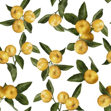 Beyaz arka planda olgun sarı elmalarla yapılmış desen. Sarı elma mandalinalı suluboya deseni. Beyaz arka planda elma deseni. suluboya desenli elmalar ve yapraklarla