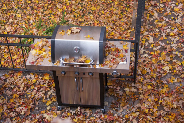 С осенними листьями