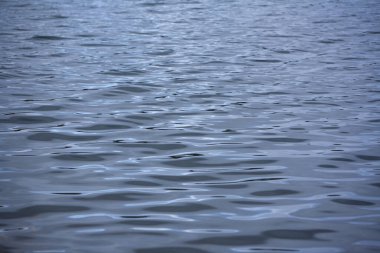 Saranac Gölü, New York 'taki Colby Gölü' nde Su Yansımaları.