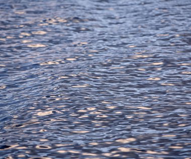 Saranac Gölü, New York 'taki Colby Gölü' nde Su Yansımaları.