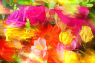 Rüzgarda süzülen çiçeklerin renkleri.