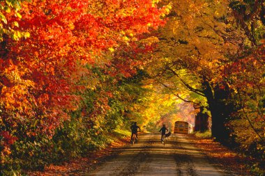 Two boys rushing to school in Jericho, Vermont. clipart