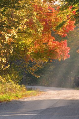 Dirt road in Isle LaMotte, VT.  Lake Champlain Islands. clipart