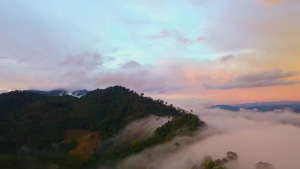 Aerial View Scenery Sunrise Mountain Tropical Rainforest Slow Floating Fog — Vídeo de Stock