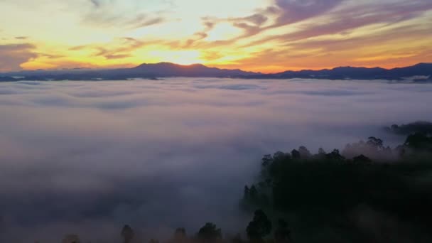 Повітряний Вид Моря Білого Туману Обгортає Вершину Гори Повільно Спускаючись — стокове відео