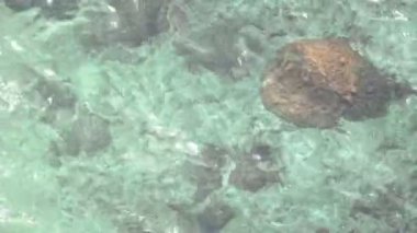 Mercan resifinde deniz dalgaları kusursuz bir döngü oluşturuyor. Dalga üstüne dalga kıyıya doğru sürüklendi. Mercan kayalıkları, beyaz kabarcık dalgaları. Cennet plajı.