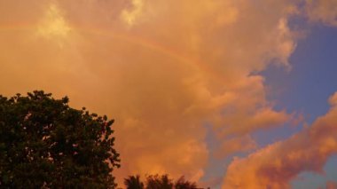 Renkli gökkuşağı ağacı kaplar. Kwang sahilindeki Krabi Tayland 'da günbatımında gökkuşağı. Kwang deseni, soyut doğa arkaplanı. Gün batımı tatlı sarı ışık ışınları ve diğer atmosferik efektlerle birlikte..
