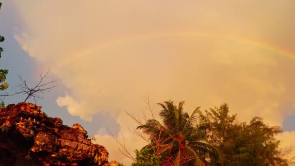 Кольорові Веселки Покривають Трети Rainbow Під Час Заходу Сонця Пляжі — стокове відео