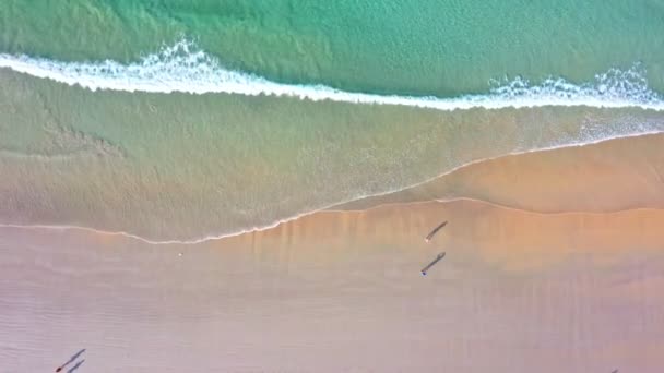 Aerial Top View Wave Wave Swept Shore Landscapes View Beach — Stock Video