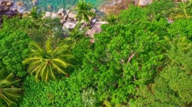 Hava manzaralı turkuaz deniz, kayanın yanında ve yamaçtaki yeşil orman. Adanın etrafını saran kayalar, turkuaz denize karşı. Phuket adasındaki kayalara yumuşak dalgalar çarpıyor. Kayaların dokusu arka planda.