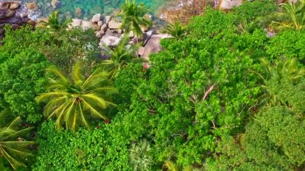 Aerial View Turquoise Sea Rock Green Forest Foot Hill Rocks — Stock videók