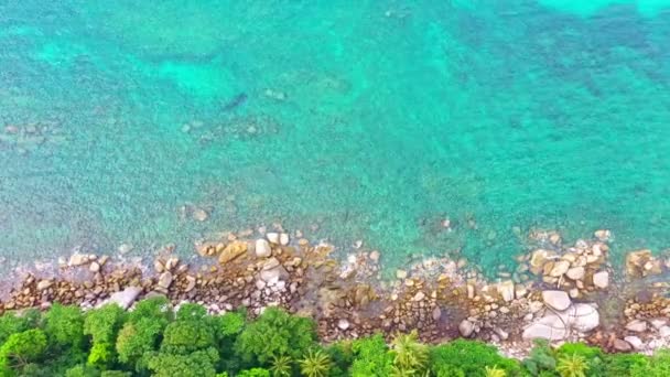 Aerial View Turquoise Sea Rock Green Forest Foot Hill Rocks — Video