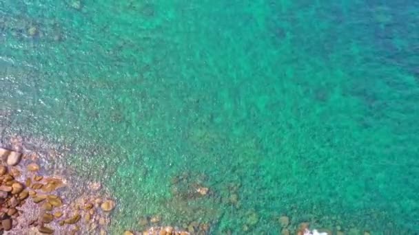 蓝海下的珊瑚礁 海洋纹理 珊瑚礁中的彩海光线 — 图库视频影像